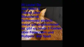 5 Fakten &uuml;ber Feuerstern und Ru&szlig;pelz