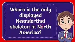 Where is the only displayed Neanderthal skeleton in North America? #Answer