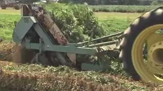 Research Helping Farmers Deal With Loss Of Aldicarb (Temik)