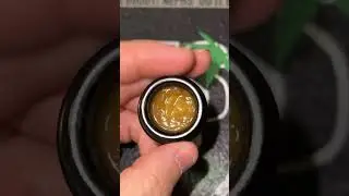 Happy ShatterDave, Nephs Solventless - V- CHEM, nothing for sale or trade&hellip;. Keeping it going w HASH!
