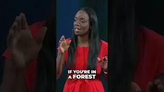 Nadine Harris on stress response.