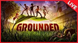 grounded live tamil