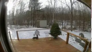 C2 Deck 20170130 141024