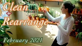 Plant Room Organize | Arranging Indoor Plants | Small Space