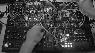 Jack Rabbit's Palace - melodic ambient w/ the Shared Labyrinth