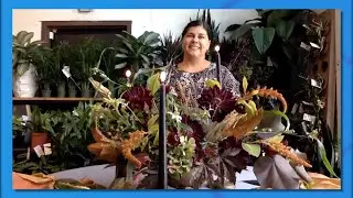 Tips On Crafting Your Own Fall Floral Arrangement