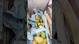(Khror Pacca ki Mandi ma Aam ki boli) #mango #fruitbazar #fryitsmandi
