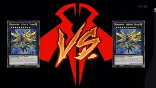 Raidraptor vs Raidraptor 2016 Millefleur ; ULTIMATE FALCON DESTROYED !