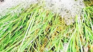 #waterfalls  #whatsapp  #status