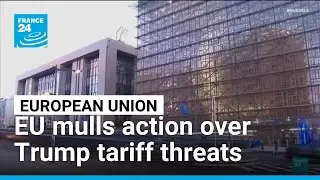EU weighs countermeasures against Trump's tariff threats over Greenland &bull; FRANCE 24 English