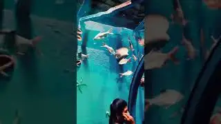 madurai fish exhibition|🐠🐋🐟Sea🌊Park| k pudur#madurai  #fish #amazing#tamilnadu #youtube#enjoy#மதுரை