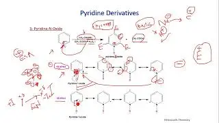 Synthesis of quinoline and isoquinoline 2023