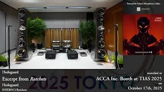 Hedegaard: Ratchets ~ YG Acoustics Titan | Krell | Sforzato DSP-Columba | PMC-Cetus | Dela