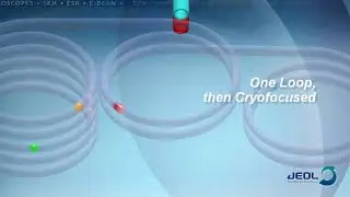 2D GCxGC Chromatography with AccuTOF-GCxPlus and ZOEX Thermo Modulator
