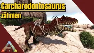Ark survival evolved - Carcharodontosaurus zähmen (solo/2024)