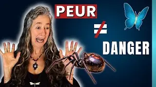 Peur ≠ Danger : comprendre la peur des araignées