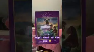 Angel Card of the Day! #tarot #divine #angels #angelcardreader #angelcardoftheday