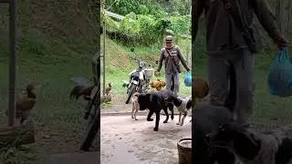they welcomed him❤️❤️#village life in borneo#shorts