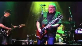 Los Lobos-Come On Let's Go (Live Brooklyn Bowl London 30/06/2015)