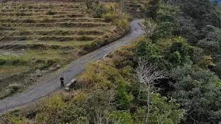 Nature's Wisdom: Life Lessons We Can Learn From the Wild | Nature Connection