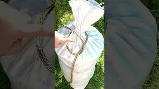 Incredible Knot that works great! #shorts #diy #skills #tips