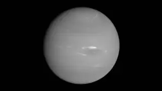Voyager 2 Neptune Flyby 1989 - semistabilized b&w, narrow angle camera, v0.1
