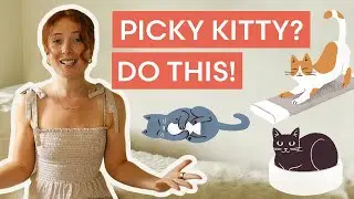 10 EASY Tips to Introduce Your Cat to New Furniture