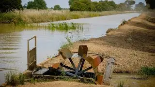 Farmers warn 'grocery bills will double' at protests against Murray-Darling Basin Plan