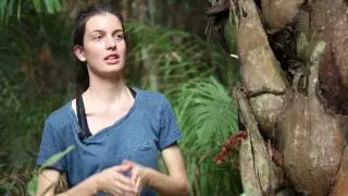 Meet our researchers at Barba Azul Nature Reserve