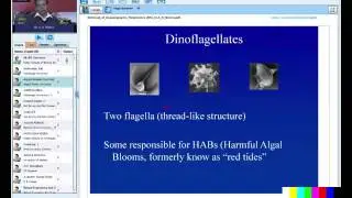 Retrieval of Oceanographic Parameters