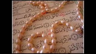 سورة الحاقة الشيخ #سعد_الغامدي Saad Al Ghamdi