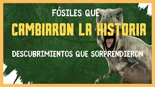 🦴 F&oacute;siles que cambiaron la historia 🌍 Descubrimientos que sorprendieron a los cient&iacute;ficos.