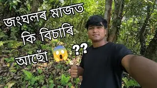 জংঘলৰ মাজত কি বিচাৰি আছোঁ 😱?? ।। অৱস্থা বেয়া আজি 😭 ।। Traveller Aditya