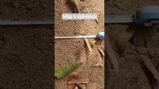 mag 6 calivision karna sikhe