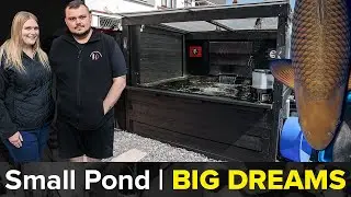How to Succeed with a Small Pond: Tips from a Passionate Koi Keeper