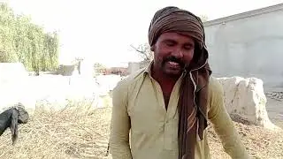 بکریوں سے محبت کیسے ہوتی ہے دیکھیں