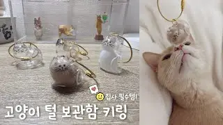 세상에서 하나뿐인 내 고양이 털 보관함 키링