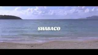 SHABACO - Ms.TOKYO (Lyric Video)