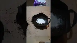 My auto flower starter mix (no bottled nutrients yet)