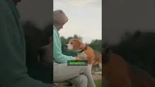 You'll never look at your dog's post-poop routine the same way again. 🤯