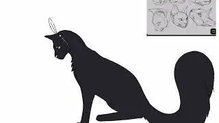 Witch cat @sunrisekitties 