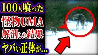 【ゆっくり解説】１００人以上を食い殺した３００年前の怪物UMA…解剖した結果、本当にヤバい正体が判明