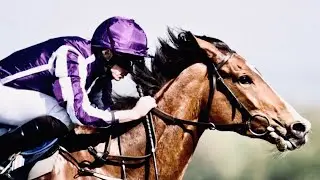 Can&rsquo;t Hold Us || Horse Racing Short Edit