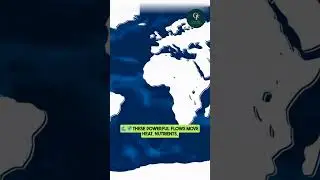 Ocean Facts Day:- 43 Ocean currents move water, heat, & nutrients around the globe 🚢🌊 #OceanCurrents
