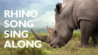 Rhino Song Sing Along - Educational Toddler Video
