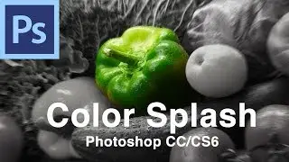 Учебное пособие по Color Splash &mdash; Adobe Photoshop | RealFlame