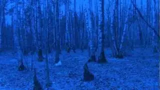 Заклятье. Фанатский клип на музыку группы Аркона (Arkona)