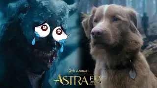 Indy The Dog Wins 2026 Astra Film Awards | Good Boy 