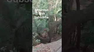 Mountain ⛰️ Trek #mountaintrek #mountains #trekking