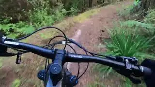 Heavy Metal WRC’s (07/01/26)